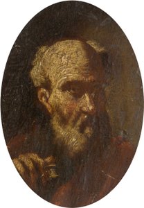 Cabeza de un Hombre Viejo de Salvator Rosa
